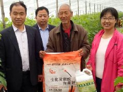 河北葡萄示范田
