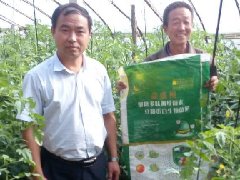 生物菌肥客户和示范田