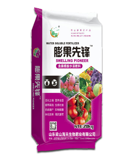 膨果先锋