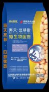 豆磷脂